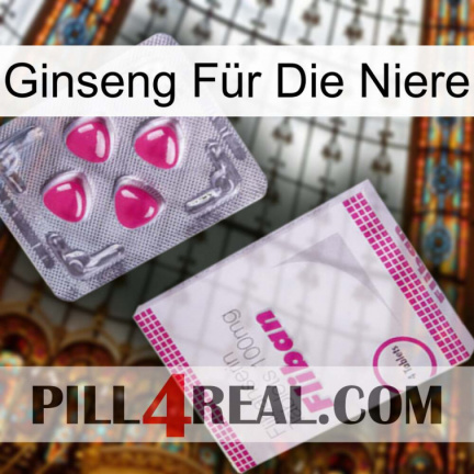 Ginseng Für Die Niere 32